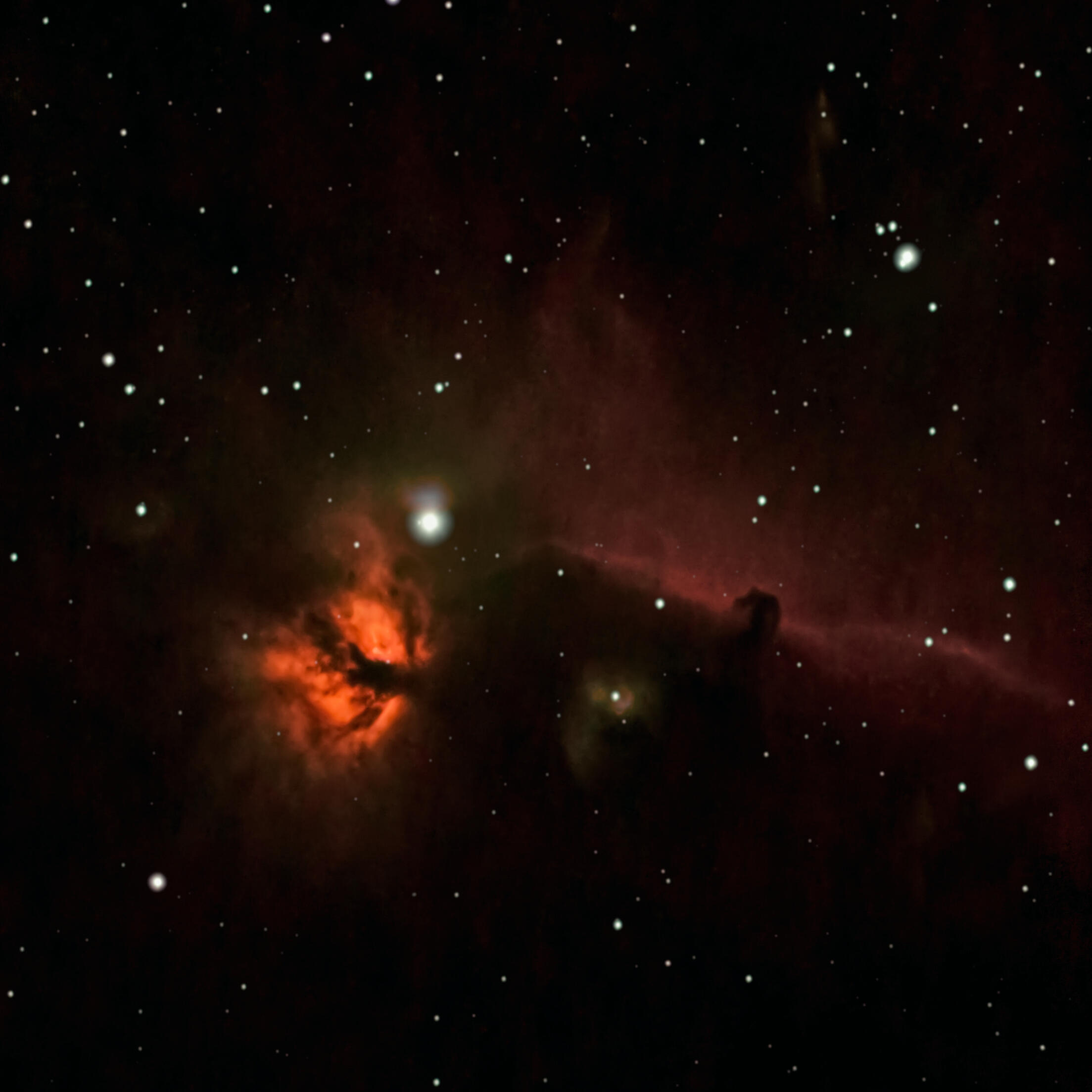 the Horsehead and Flame Nebulae